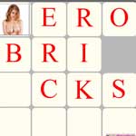 Erobricks